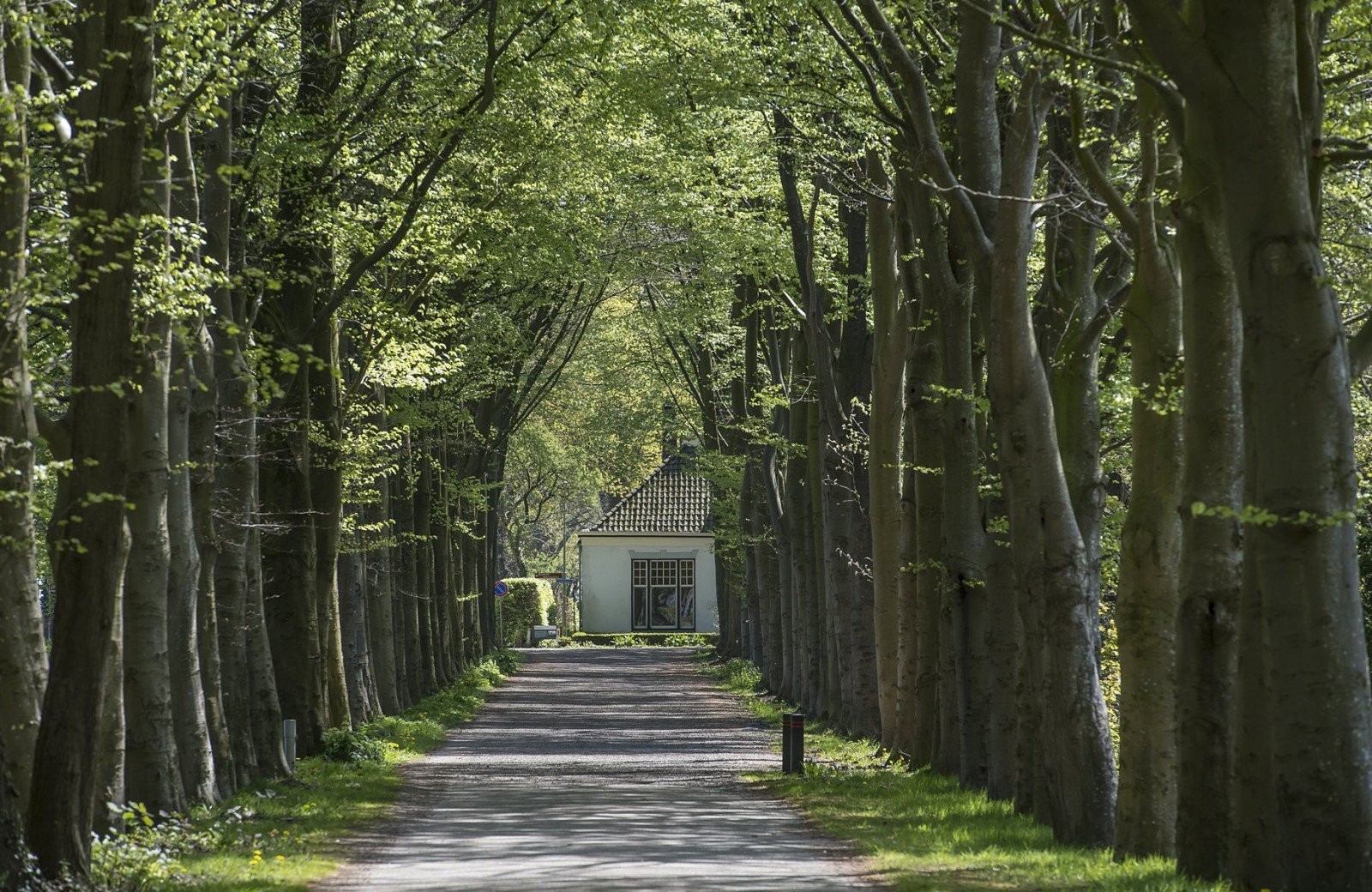 Koloni n Van Weldadigheid Hunebed